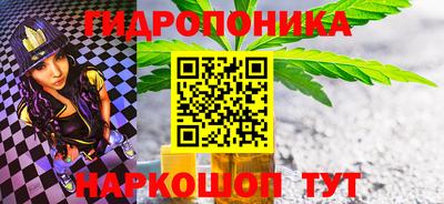 крисы Будённовск
