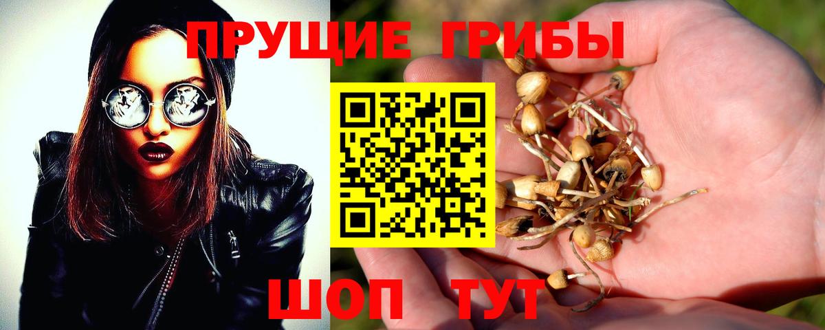 Галлюциногенные грибы Psilocybe  Вход с VPN  Галлюциногенные грибы Psilocybine cubensis  Щёкино 